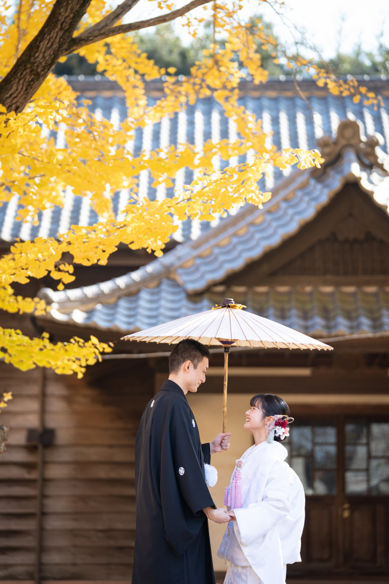 番傘&times;イチョウ