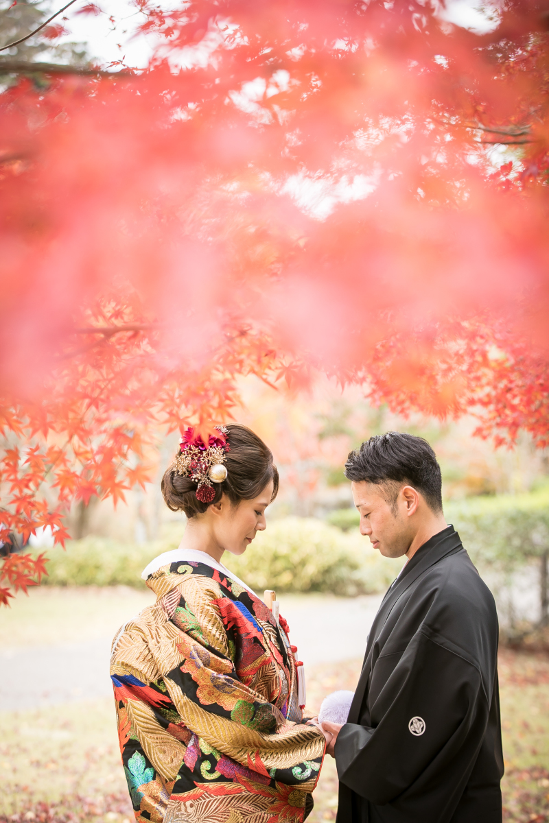 真っ赤なもみじ