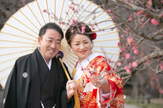 梅、咲き始めました。