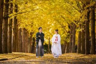 イチョウ＆もみじロケ