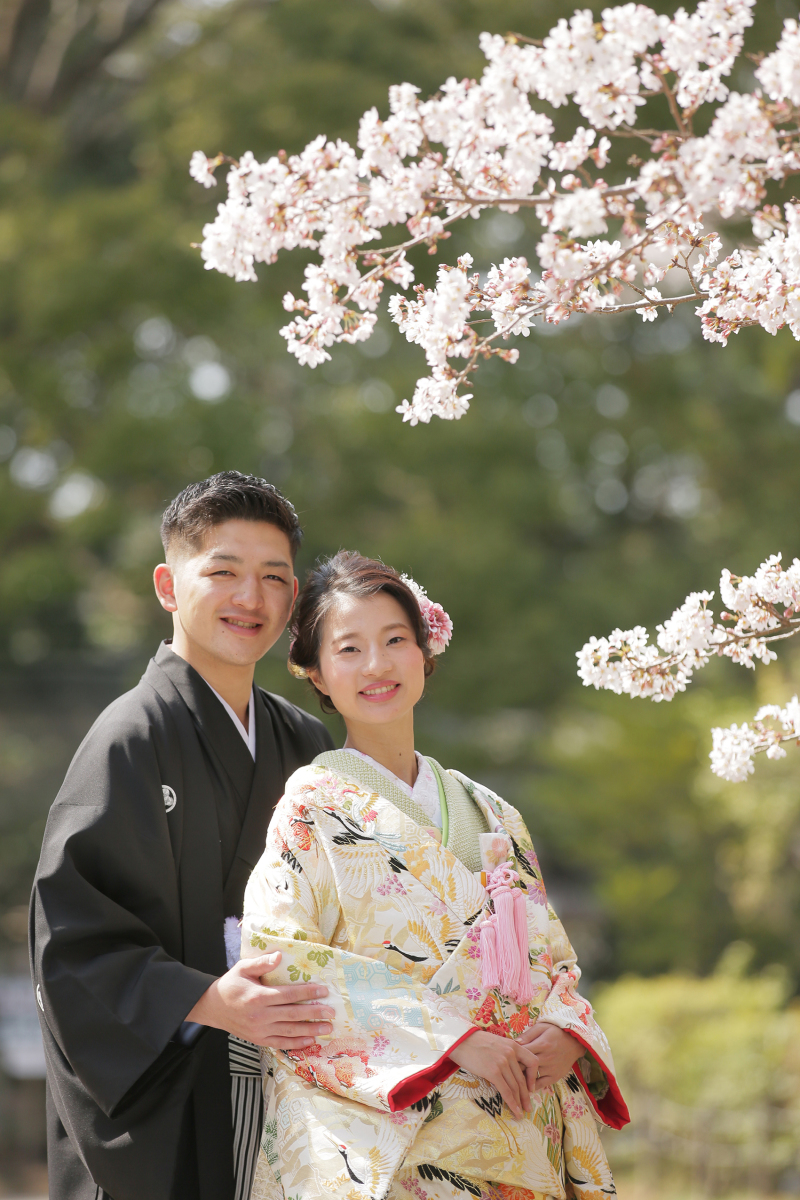 春は桜ロケーションがオススメ