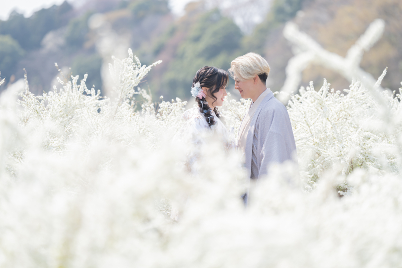 お花畑