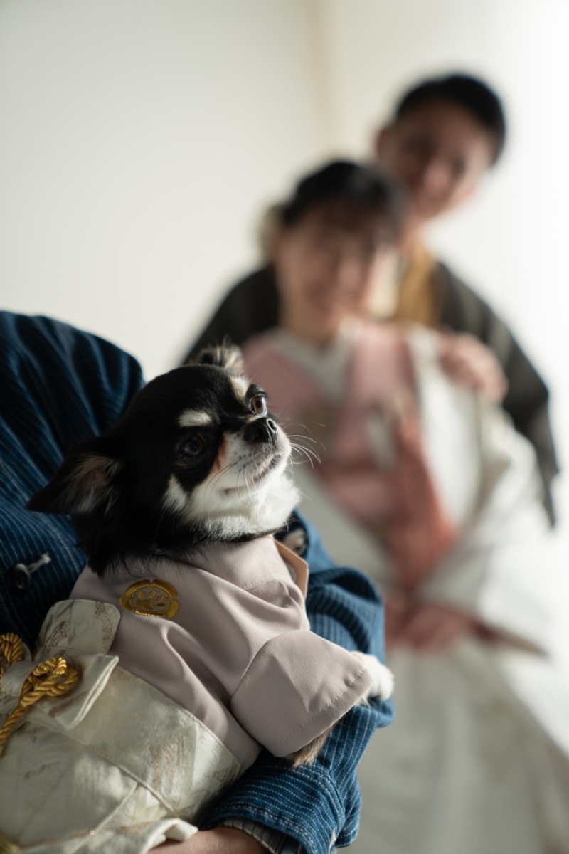 小貫写真館 Paseo nuevo水戸_ペットと一緒に撮影できる