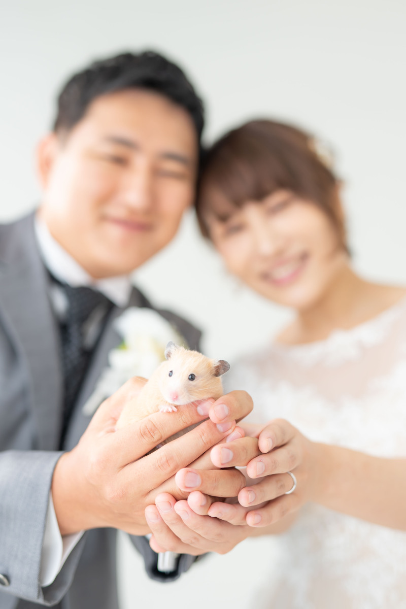 小貫写真館 Paseo nuevo水戸_ペットと一緒に撮影できる