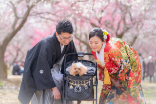 小貫写真館 Paseo nuevo水戸