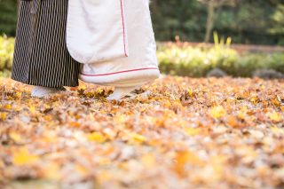 シーズンアップ料金／ロケーション