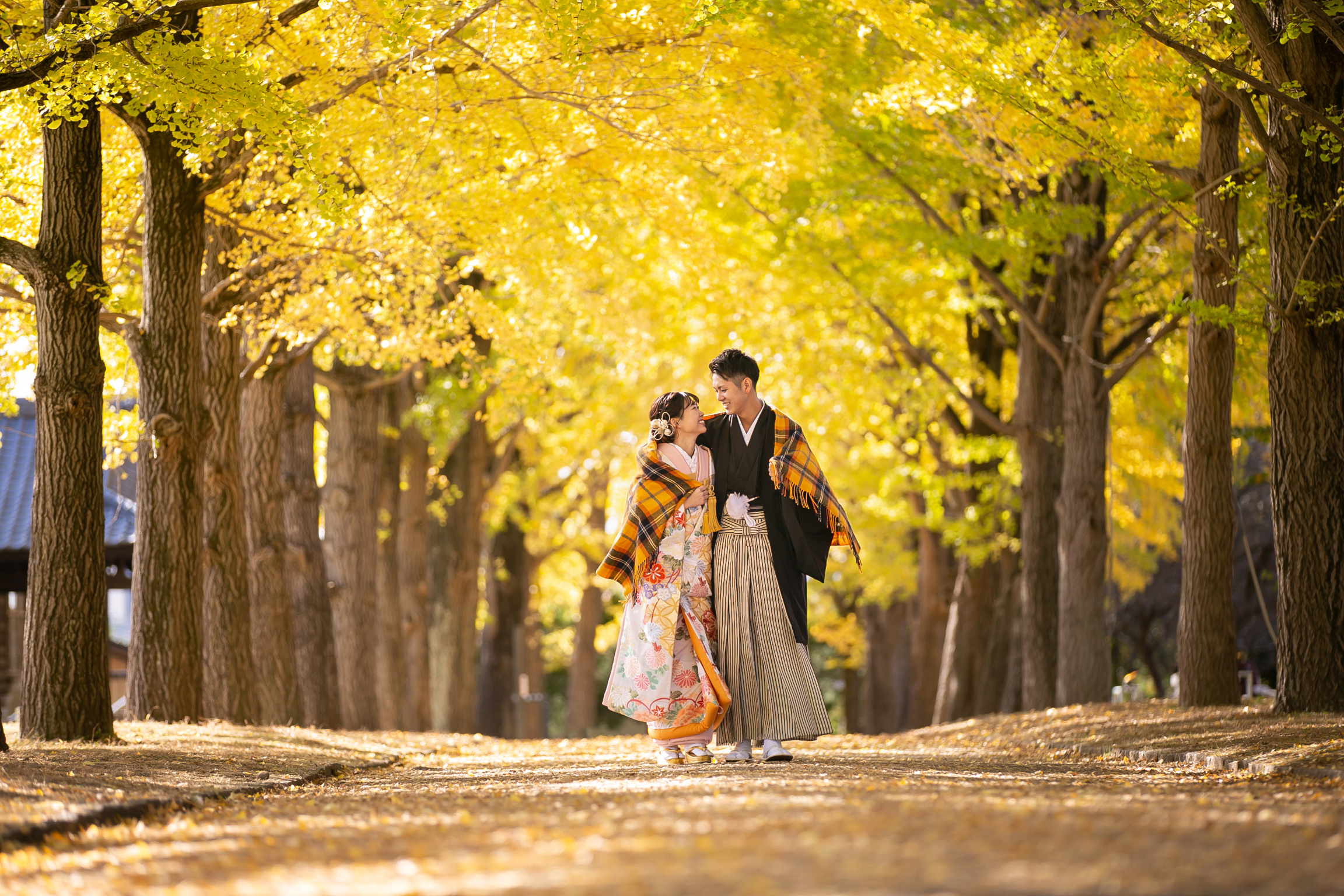 Point1 多彩な撮影シーン