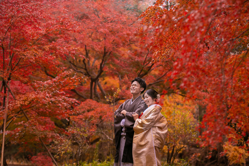 Point1 多彩な撮影シーン