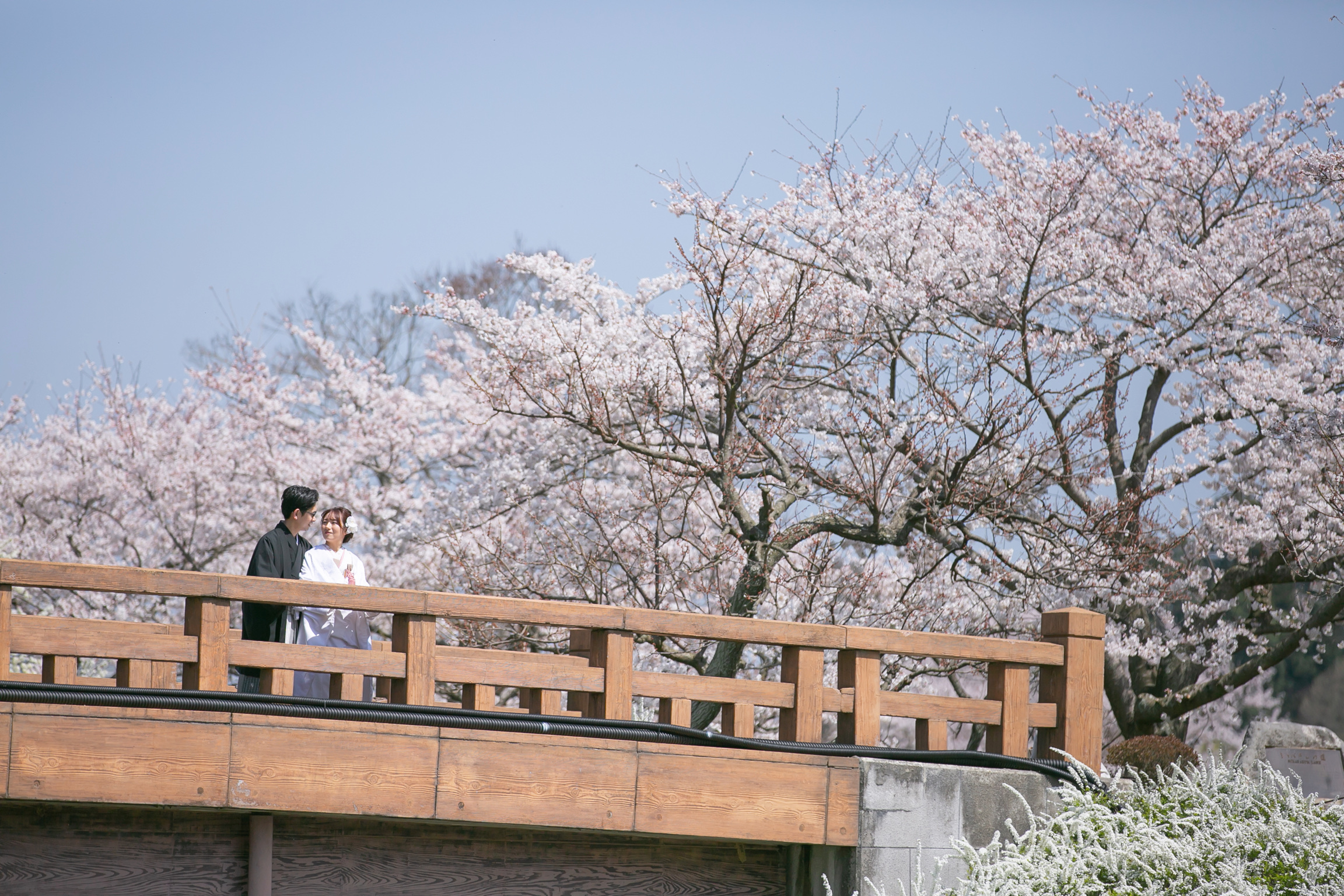 Point1 多彩な撮影シーン