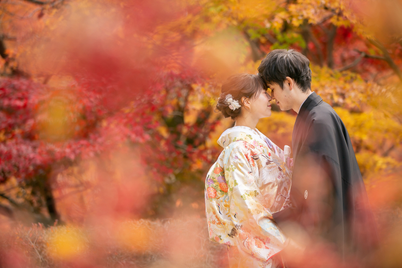 秋の紅葉スポットなら『偕楽園公園もみじ谷』