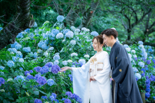 小貫写真館 Paseo nuevo水戸_紫陽花ロケーション