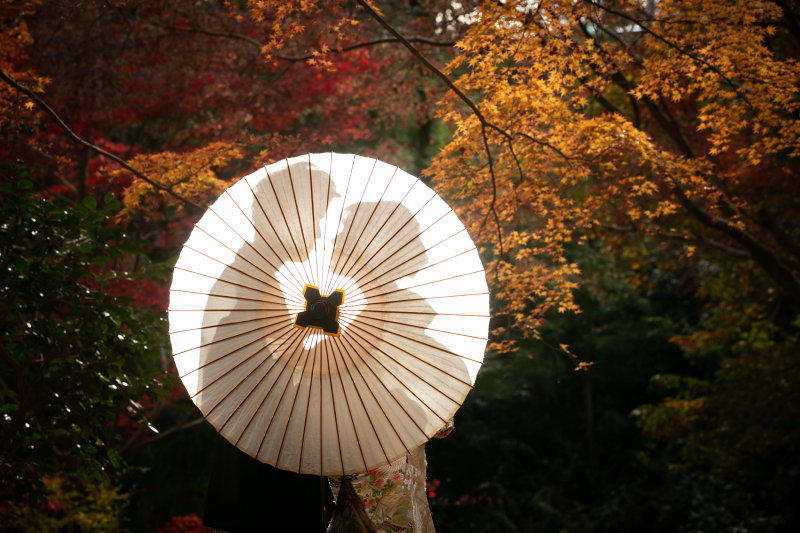 小貫写真館 Paseo nuevo水戸_庭園で撮影できる
