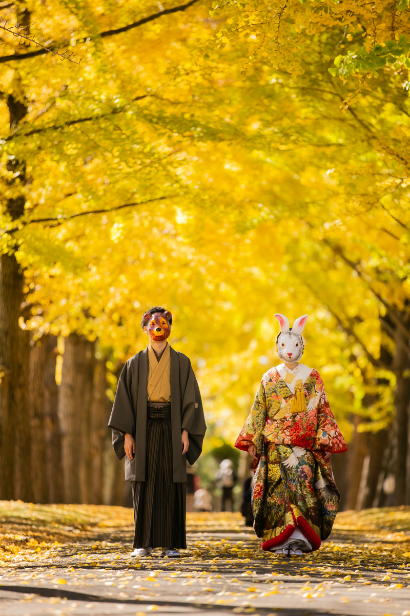 黄金色の世界！『歴史館』のイチョウ並木