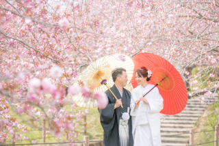小貫写真館 Paseo nuevo水戸_春ロケーション桜