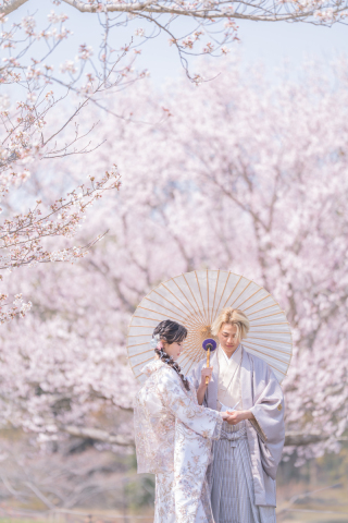 小貫写真館 Paseo nuevo水戸_春ロケーション桜