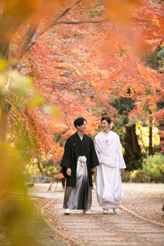 小貫写真館 Paseo nuevo水戸_秋ロケーション紅葉