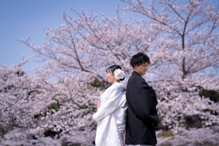 小貫写真館 Paseo nuevo水戸_春ロケーション桜