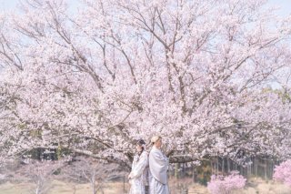 小貫写真館 Paseo nuevo水戸_春ロケーション桜