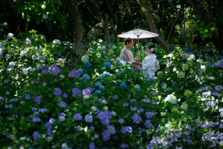 小貫写真館 Paseo nuevo水戸_和装ロケーション