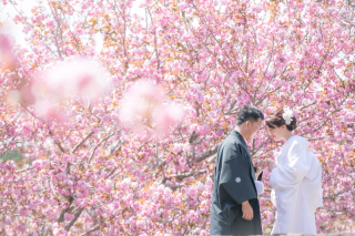 小貫写真館 Paseo nuevo水戸_春ロケーション桜