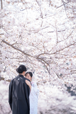 小貫写真館 Paseo nuevo水戸_春ロケーション桜