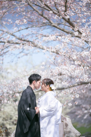 小貫写真館 Paseo nuevo水戸_春ロケーション桜