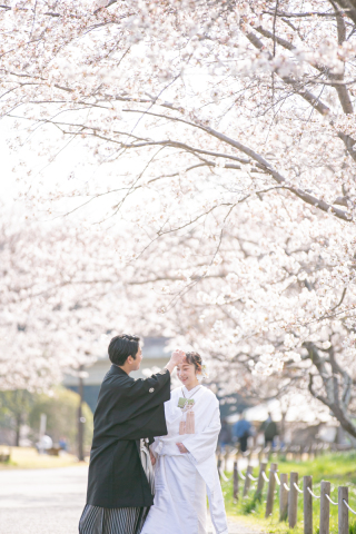 小貫写真館 Paseo nuevo水戸_春ロケーション桜