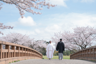 小貫写真館 Paseo nuevo水戸_春ロケーション桜