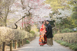 小貫写真館 Paseo nuevo水戸_春ロケーション桜