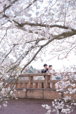 小貫写真館 Paseo nuevo水戸_春ロケーション桜