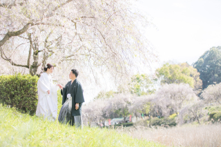 小貫写真館 Paseo nuevo水戸_春ロケーション桜