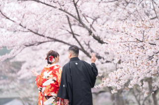 小貫写真館 Paseo nuevo水戸_春ロケーション桜