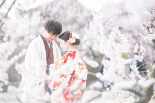 小貫写真館 Paseo nuevo水戸_春ロケーション梅