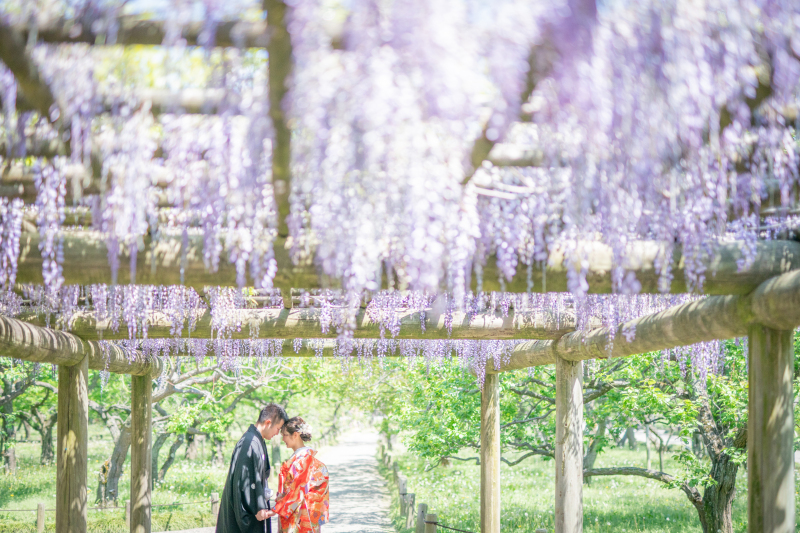 【和洋2着ロケ】和装ロケ＋洋装ロケプラン22,000円オフ！270,600円&rarr;248,600円♡全データ240カット！