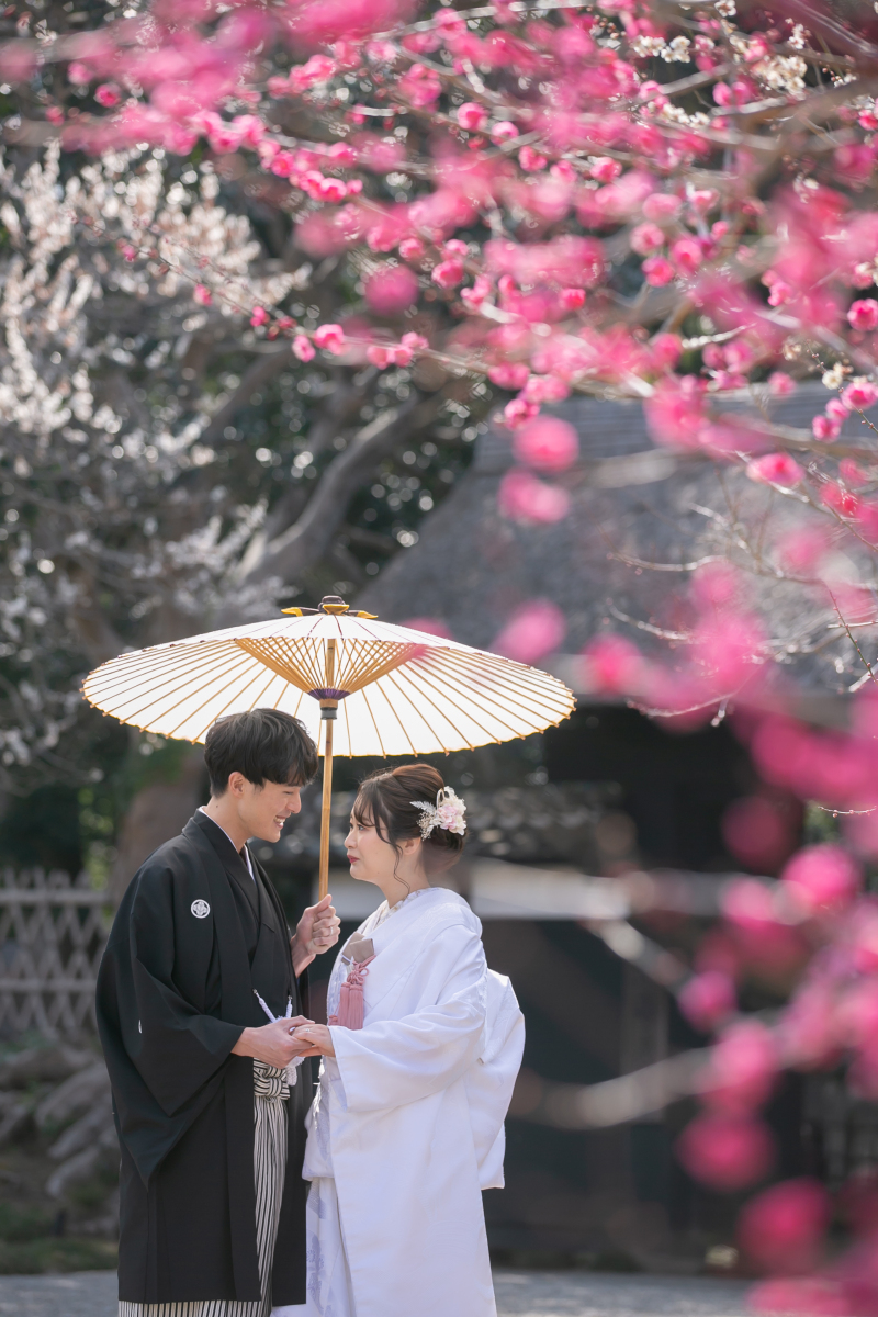 【春の偕楽園フォトウエディング】和装ロケ＋洋装スタジオプラン195,800円！全データ160カット付！