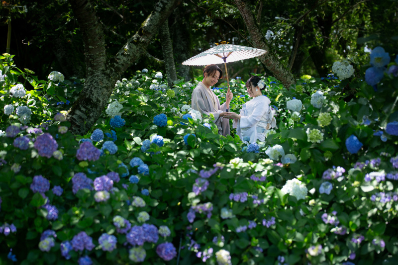 【紫陽花ロケ♡和+洋】保和苑コース和装1着ロケ＋スタジオ洋装1着プラン165,000円！データ80カット付き！