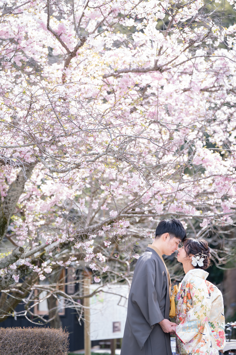 【春の偕楽園フォトウエディング】和装1着ロケベーシックプラン121,000円！全データ80カット付！