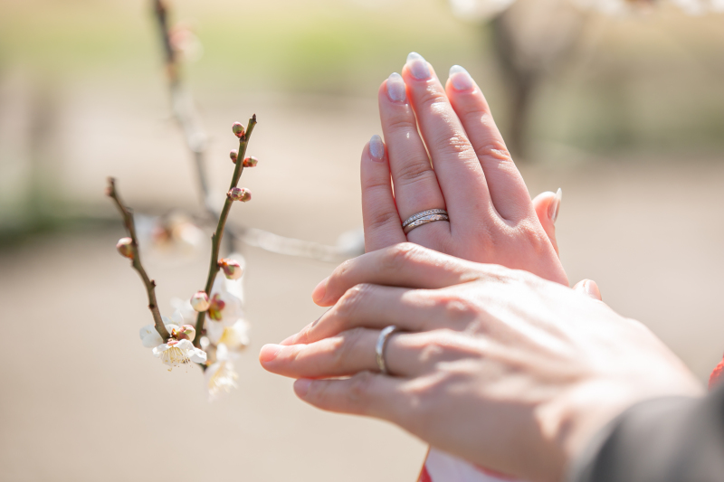 【春の偕楽園フォトウエディング】和装1着ロケライトプラン99,000円！全データ40カット付！