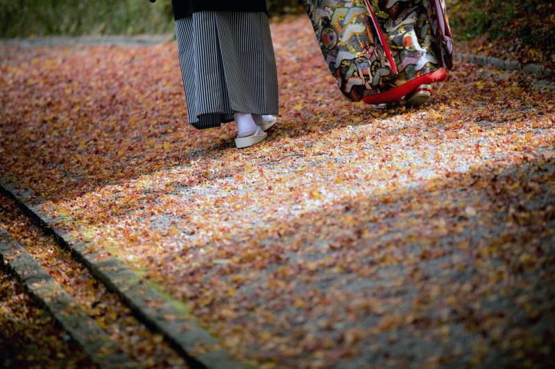 紅葉に囲まれて(^^♪
