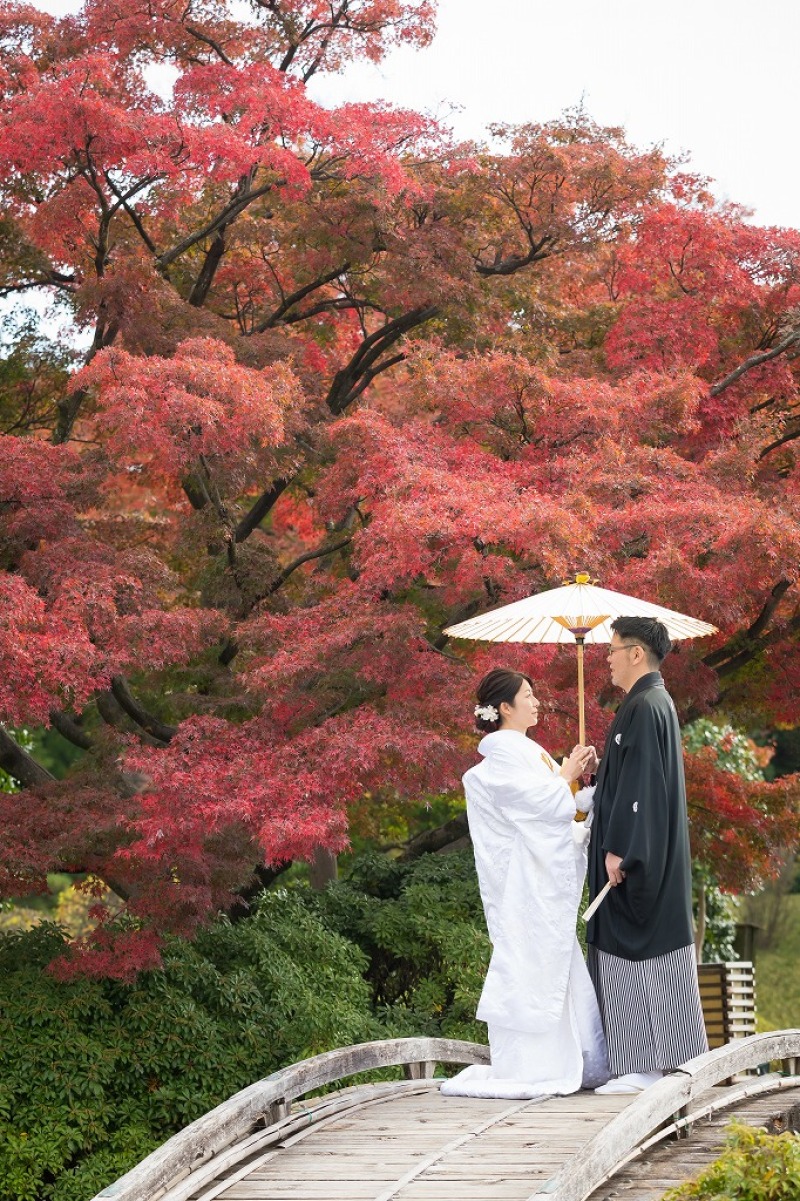 色づいてきたと紅葉と・・
