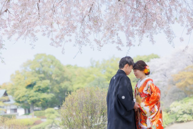 本格派庭園【花田苑】の桜は見応えもたっぷり!
