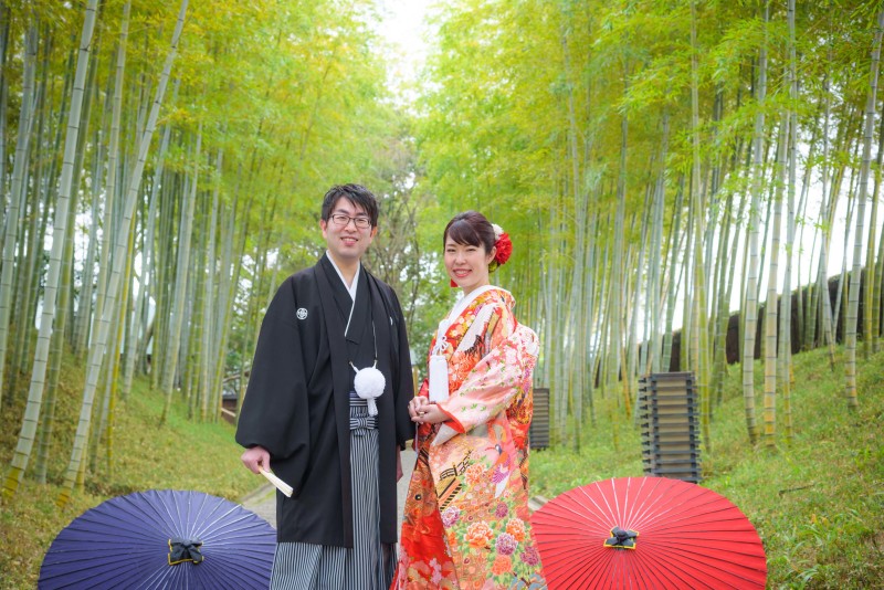 桜が綺麗でした！