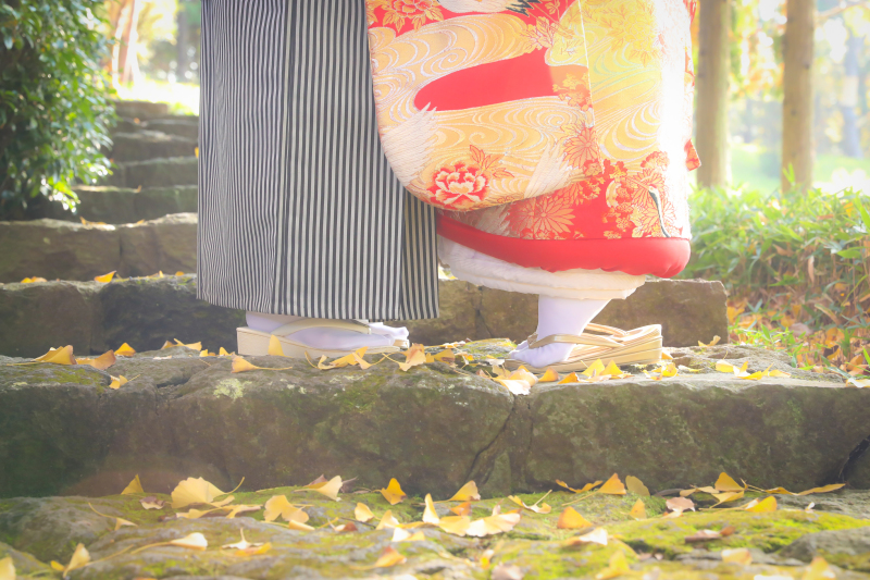 木漏れ日が綺麗で大好きなショット♪