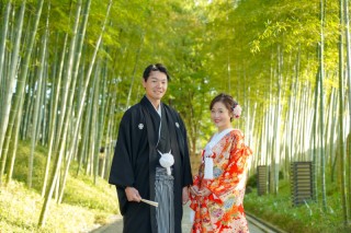 竹林でフォーマル