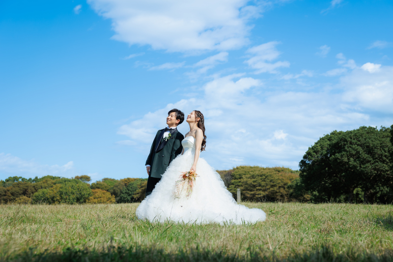 広大な芝生広場で青空と