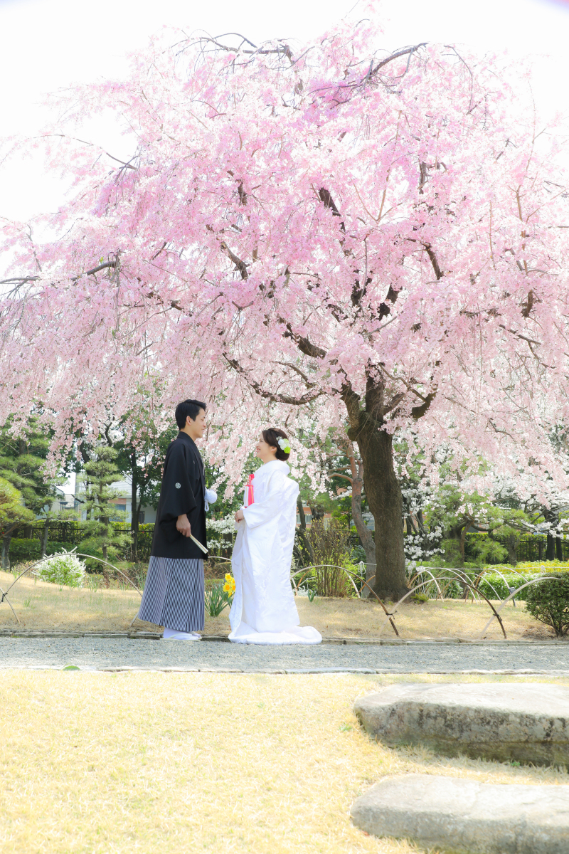 しだれ桜の下で。。。