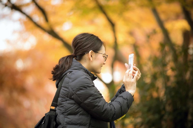携帯でもパシャリ