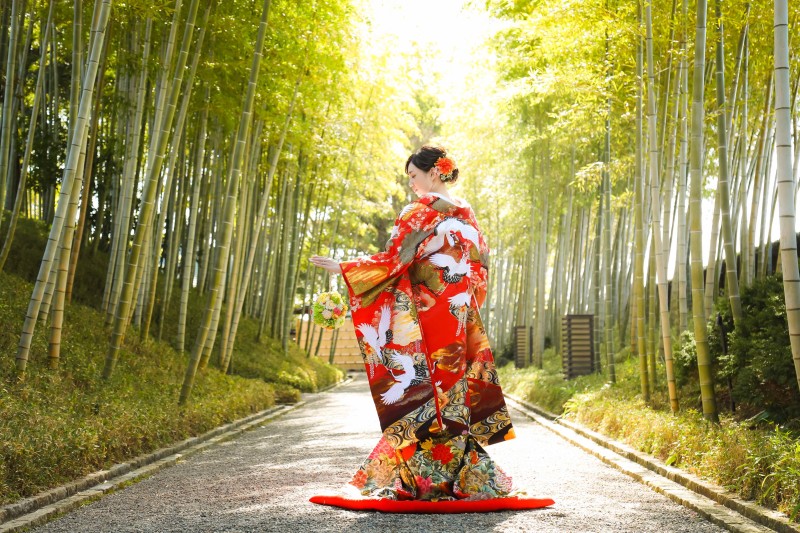 色打で後ろ姿・・