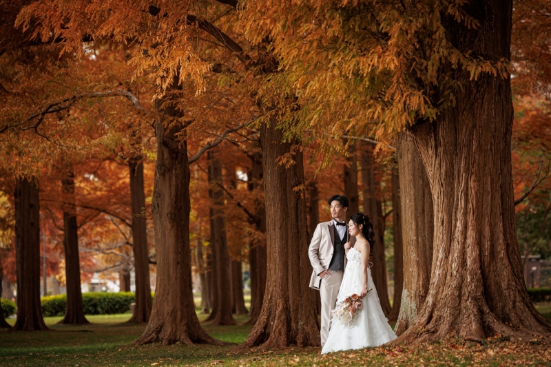 水元公園での撮影がスタートしました!!