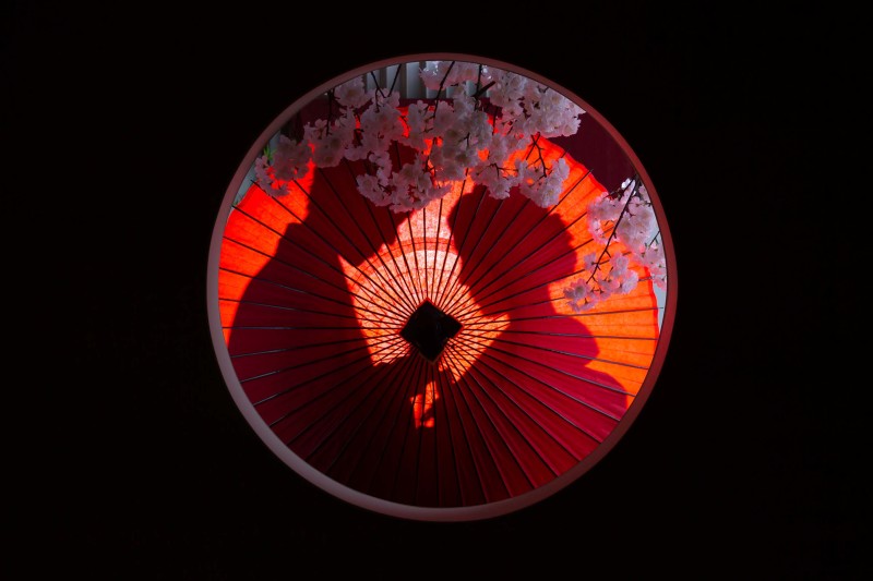 桜越しのシルエット♡